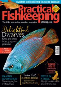 Practical Fishkeeping Print
