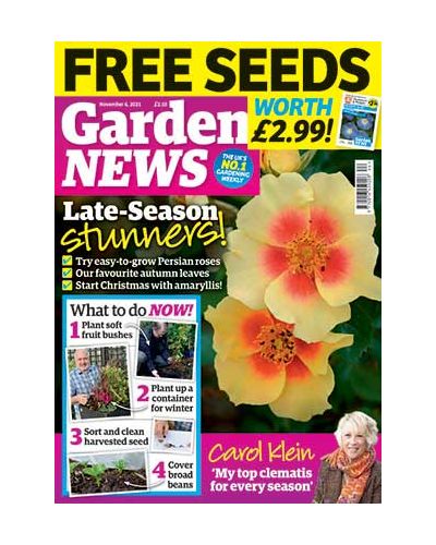 Garden News Digital issue 02/11/2021